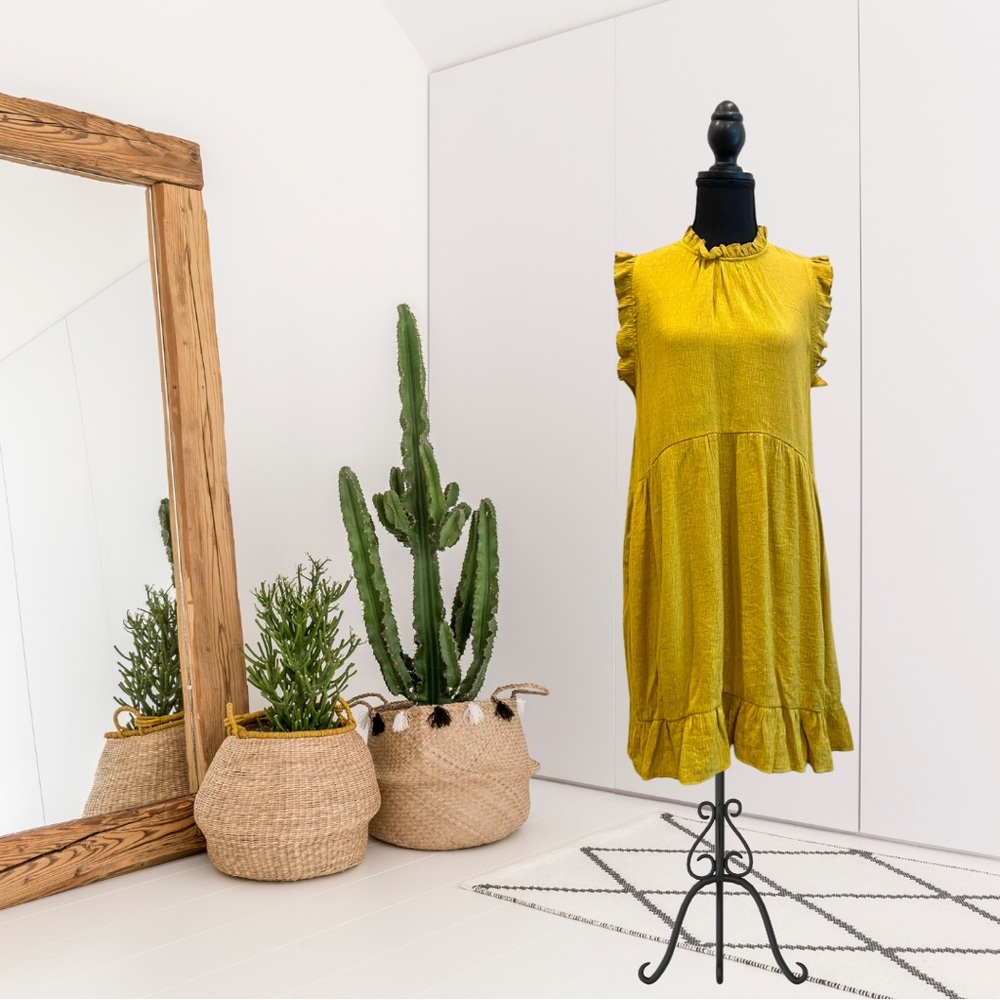 Pinch Sleeveless Ruffle Neck Trim Dress